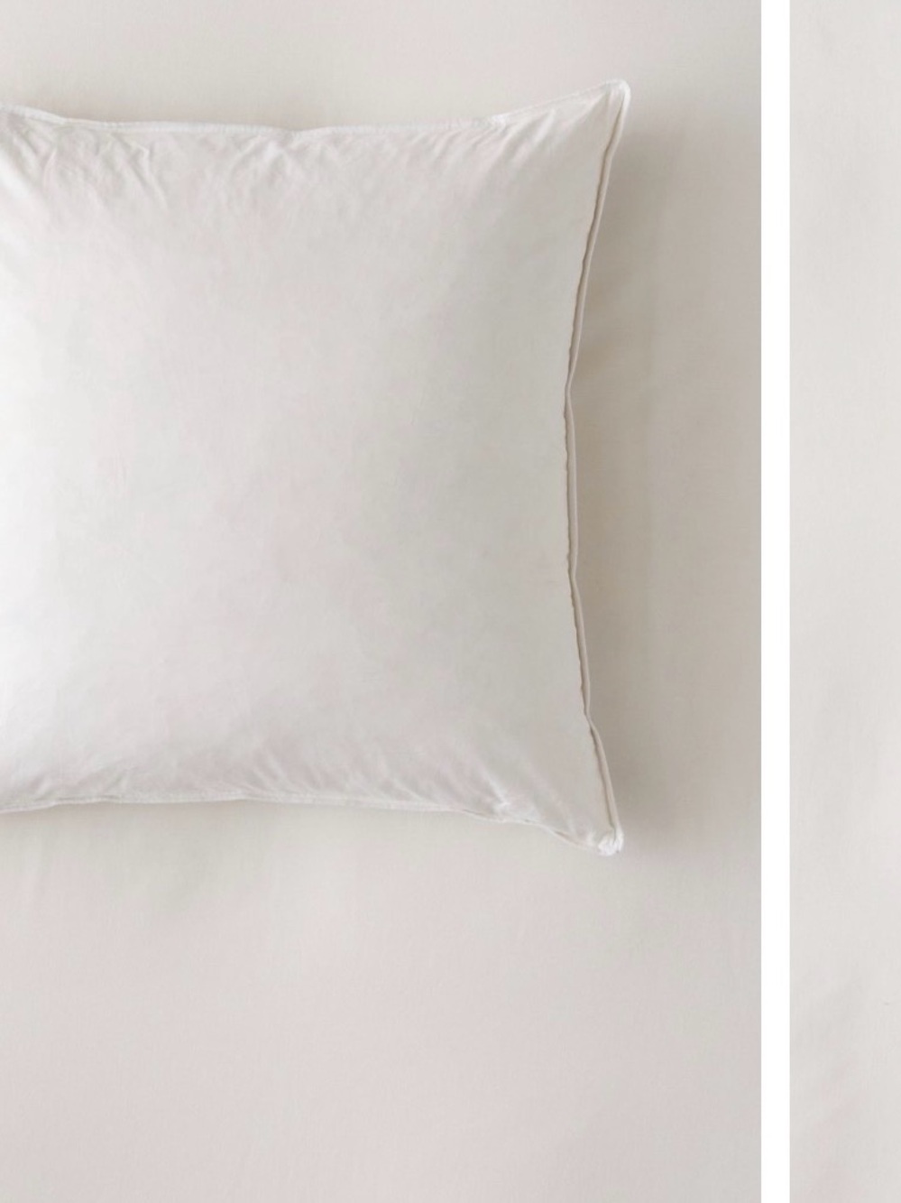 Urban Outfitters Throw Pillow Insert